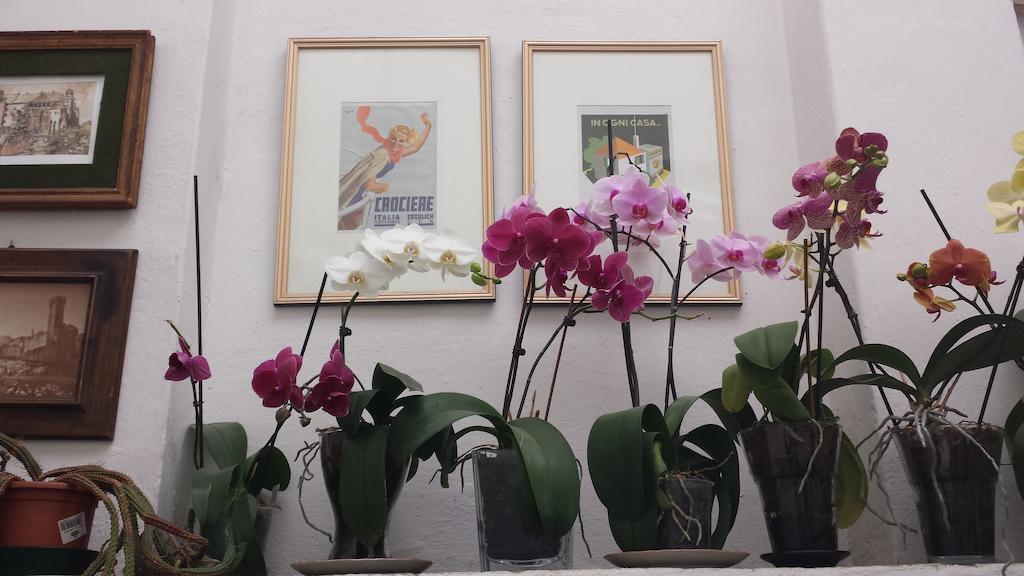 Palazzo San Florido Bed & Breakfast ชิตตา ดิ กัสเตลโล ภายนอก รูปภาพ
